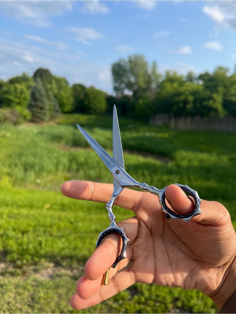 Artistic Professional barber scissors/shears 6”